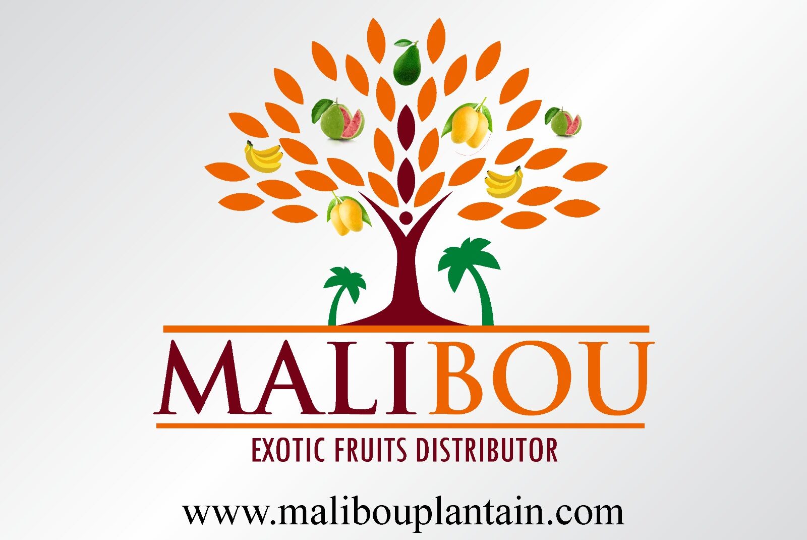 Malibou Plantain